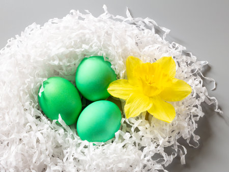 Nest with colored Easter eggs and a bud of daffodil flower on the gray background. Top view.の写真素材