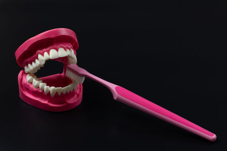Human jaw layout and a toothbrush on the black background.