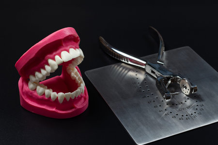 Layout of the human jaw with a dental hole punch and a metal plate on the black background. Medical...