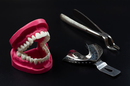 Layout of a human jaw, a stainless steel dental pliers and dental impression tray on the black background.の写真素材