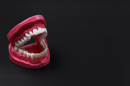 Layout of a human jaw on the black background. Medical tools concept.の写真素材