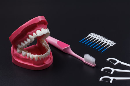 Layout of the human jaw with the silicone floss toothpicks, the interdental toothpick brushes and the toothbrush on the black background.の写真素材