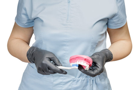 Female dentist in latex gloves with a human jaw layout and a toothbrush.