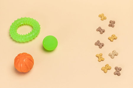 Dry food and playful toys for dogs. Animal feeds, balls and a rubber chewing a ring. Top view.