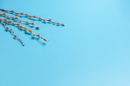 Willow arrangement on the blue background. Top view. Holiday orthodox tradition.の写真素材