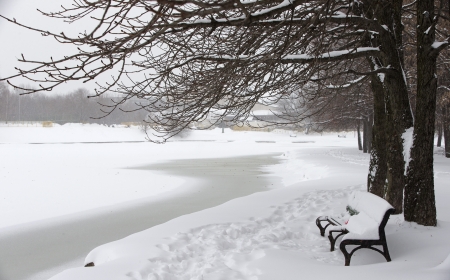 A bench with snow in a parkの写真素材