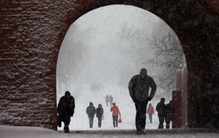 Snowfall in a parkの写真素材