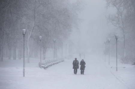 Snowfall in a parkの写真素材