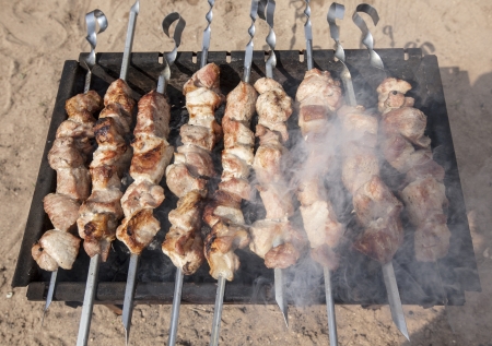Cooking shashlyk on a fireの写真素材