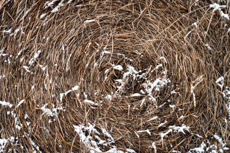 Haystack with snow close upの写真素材