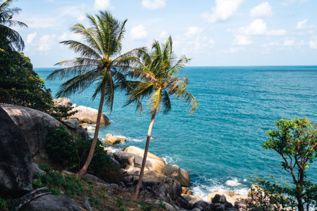 Two palm trees on the beautiful coast of the sea with turquoise waterの写真素材