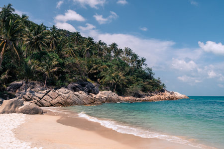 Beautiful wild sandy beach with palm trees and clear turquoise water