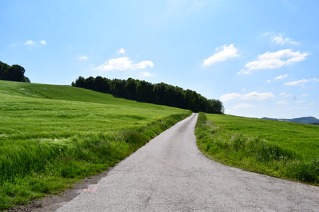 Country road in a green field with blue sky and white clouds.の写真素材