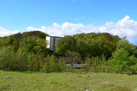 Residential building in the middle of the green forest on a sunny dayの写真素材