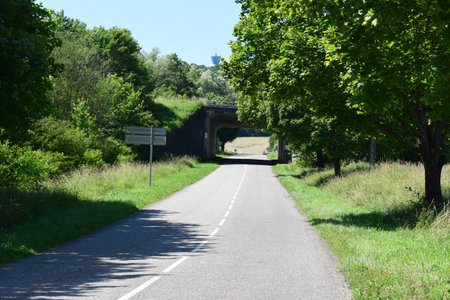 Road in the countryside with trees on the sides and a bridge in the backgroundの写真素材