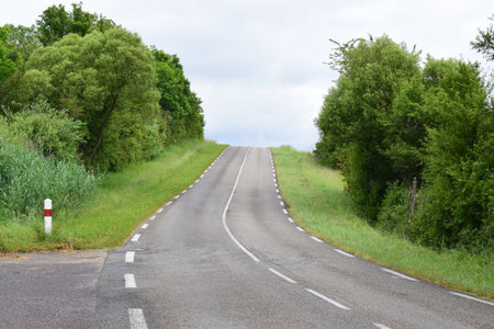 rural road in the middle of the forest with green grass and treesの写真素材