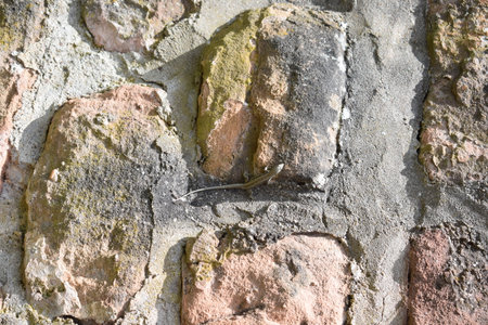 old brick wall texture as very nice natural background, close-upの写真素材