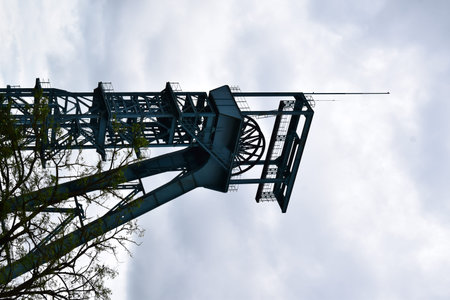 Detail of a construction crane on a cloudy day with trees in the foreground