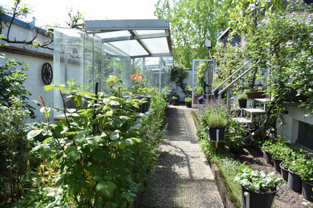 garden with plants in a greenhouse on a sunny day in springの写真素材