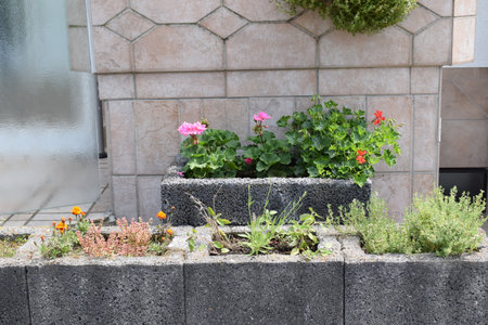 Flowerbed with geraniums and other flowers in the gardenの写真素材
