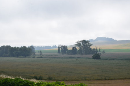 Rural landscape with fields and trees on a foggy day.の写真素材