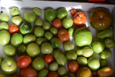 Green and red tomatoes in a box on the counter in the marketの写真素材