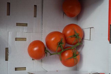 tomatoes in a carton box on a wooden table, foodの写真素材