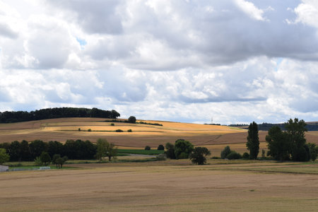 Country landscape with fields, forests and a blue sky with white cloudsの写真素材