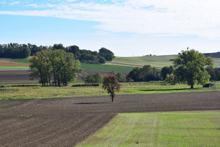 autumn landscape with fields and trees in the Eifelの写真素材