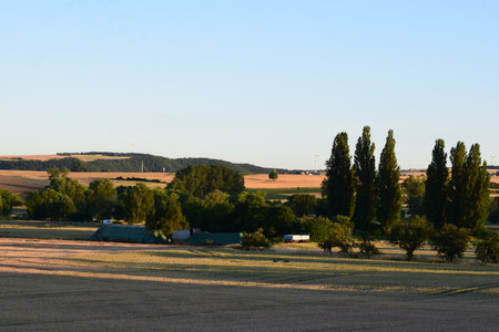 Rural landscape with fields at sunset in summerの写真素材
