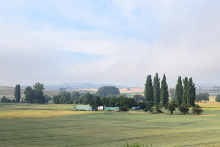 Landscape with fields and trees in the countryside of the Eifel, Germanyの写真素材