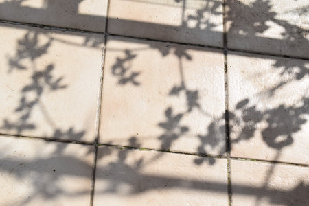 Shadow of leaves on the tile floor. Abstract background for design.の写真素材