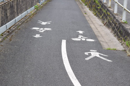 Bicycle lane sign on the road in public park. Concept of cycling.