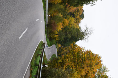 Asphalt road and trees in autumn season. View from above.
