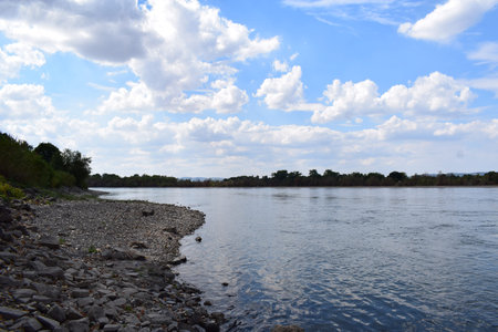 River landscape during drought, Engers near Neuwiedのeditorial素材