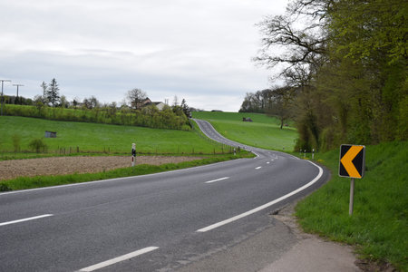 A road in the middle of a green meadow in springtime