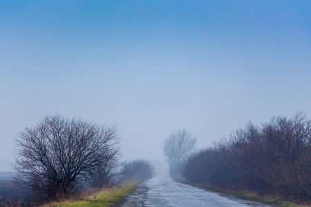 a winter landscape with a slight fog on the sides of the treeの写真素材
