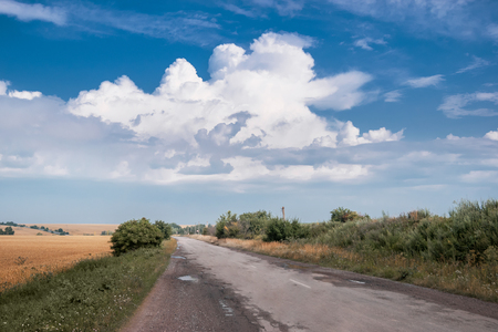 summer landscape: road in the field and blue sky with white cloudsの写真素材
