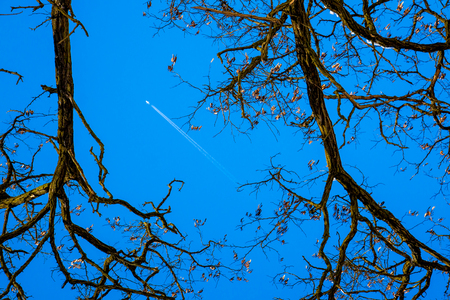 trail from an airplane in  blue sky, silhouettes of trees on  sidesの写真素材