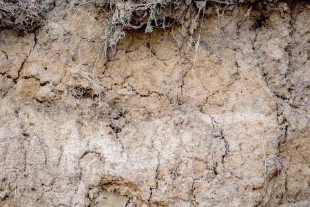 Clay rock. Texture of clay with cracksの写真素材