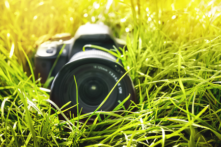 Modern digital camera in  grass. Photographing natureの写真素材