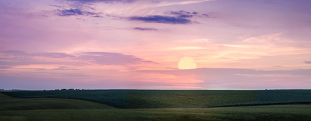 Sunset or sunrise in  field. Picturesque  sky in  evening at  sunset. Summer landscape in  evening, panoramaの写真素材
