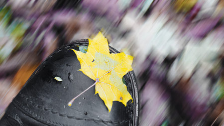 Yellow leaf of maple on a man's boot while walking through the forest
