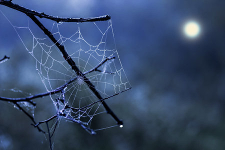 White spider web on a background of a dark night sky with a month