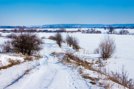 Winter road in the field on a sunny winter day. Trees along the roadの写真素材