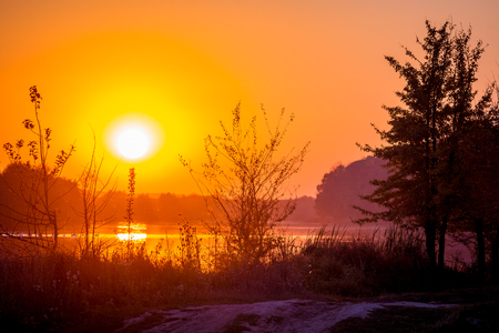 Sunset on the river near the forest, reflection of the sun in the water. Silhouettes of trees on the background of the skyの写真素材