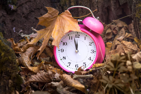 Autumn time. Clock in dry autumn leaves