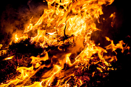 Strong fire  in the woods. Environmental disasterの写真素材