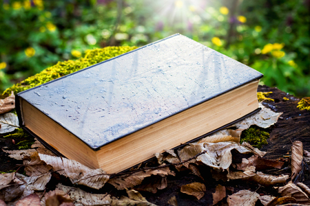 Book in the forest among spring flowers. Reading books in natureの写真素材