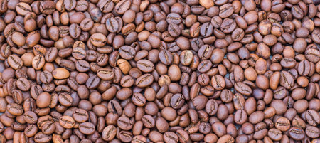 Background, texture of coffee beans, panorama. Coffee sale